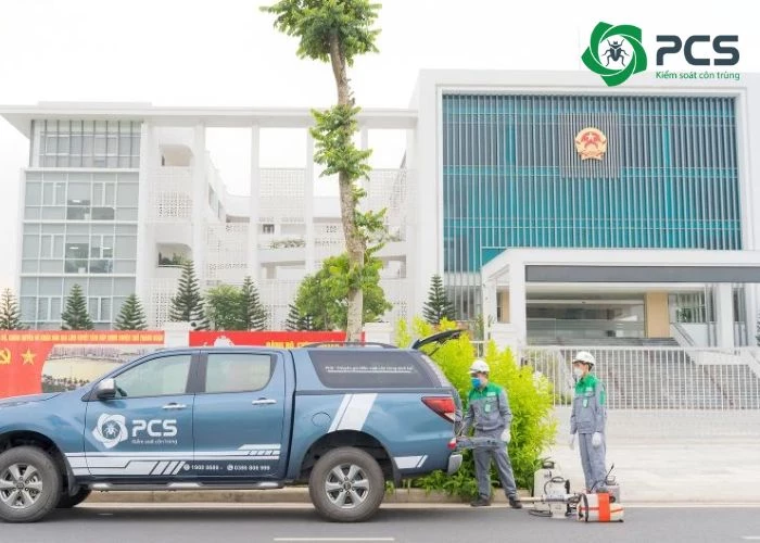 Ưu điểm nổi bật của dịch vụ diệt mối tại Biên Hòa của PCS